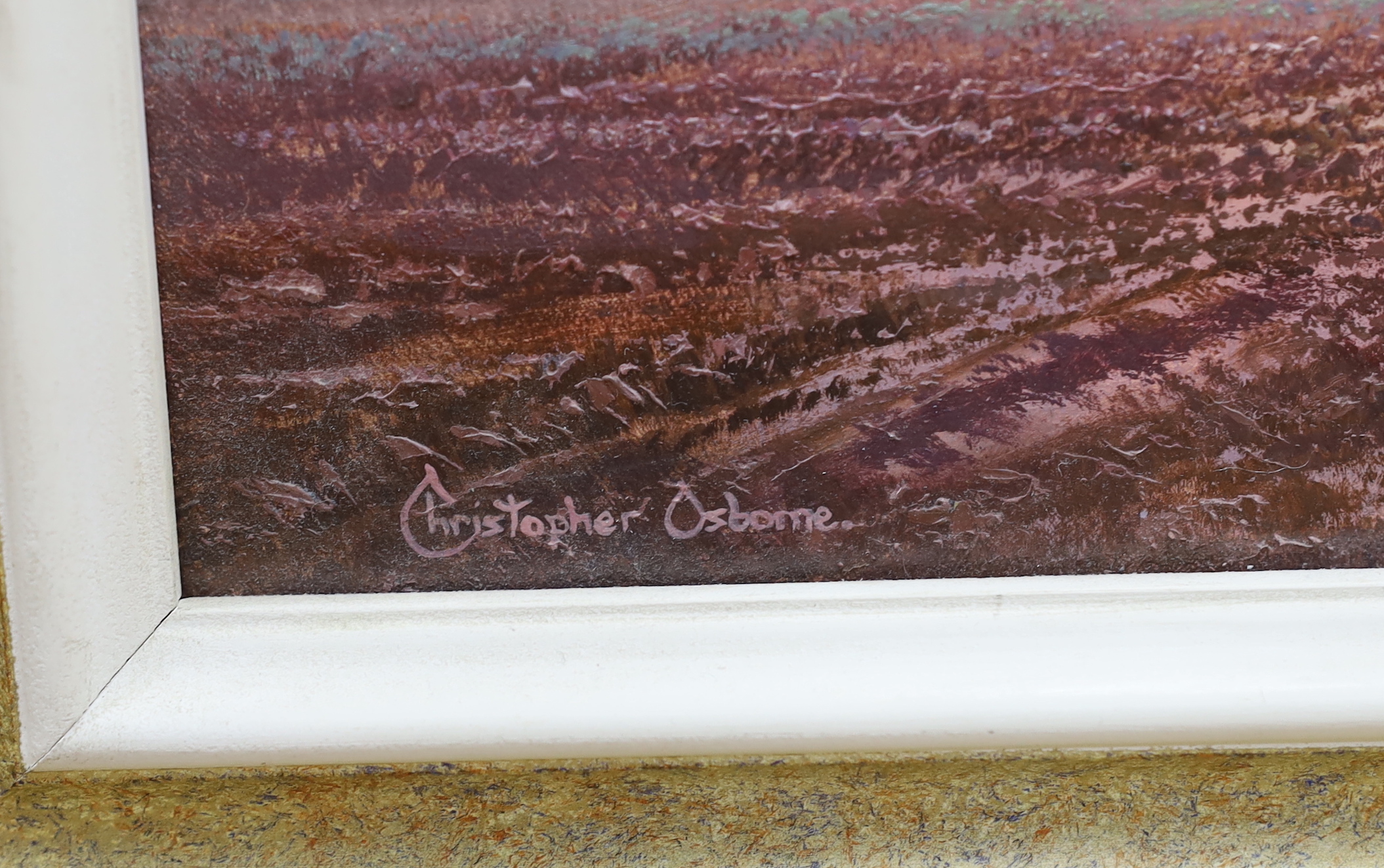 Christopher Osborne (b.1947), oil on board, 'Autumn dawning', signed, details verso, 19 x 29cm